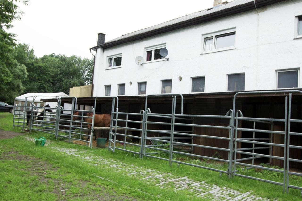 Ferienwohnung Ulrichstein/ Bobenhausen II Bobenhausen Zwei Exterior foto